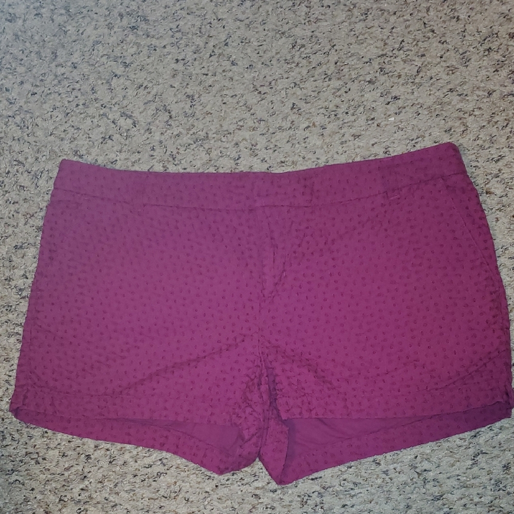 Merona Lace Detail Shorts Size 14